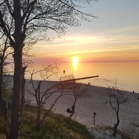 Olive Z Dostepem Do Basenu * ريفال