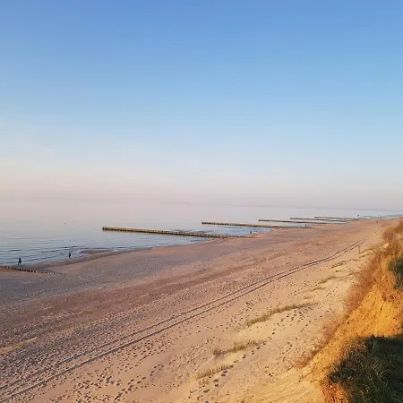 Olive Z Dostepem Do Basenu *