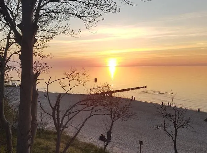 Olive Z Dostepem Do Basenu * ريفال