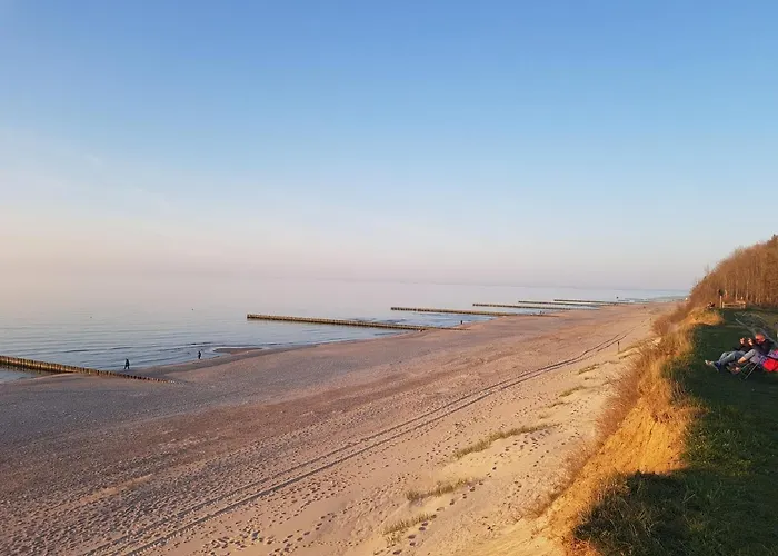 Olive Z Dostepem Do Basenu *