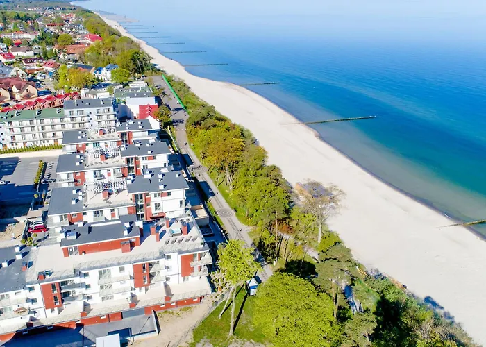 Olive Z Dostepem Do Basenu